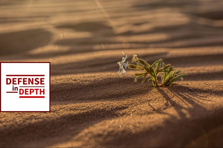 Defense in Depth: Resiliency