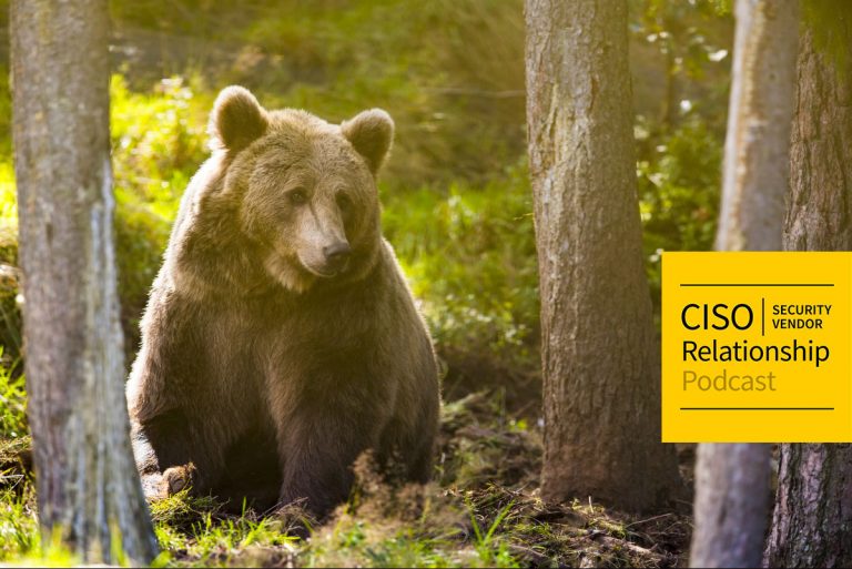Debunking the Misused “Chased By Bear” Cybersecurity Metaphor