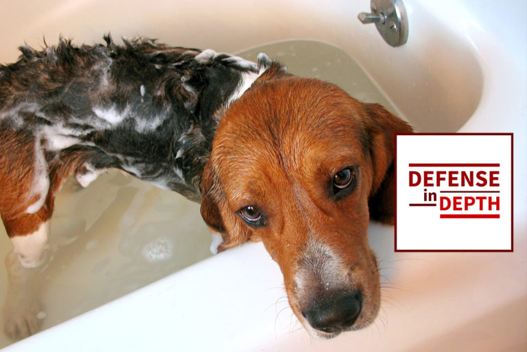 Defense in Depth: Security Hygiene for Software Development