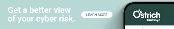 Ostrich Cyber-Risk